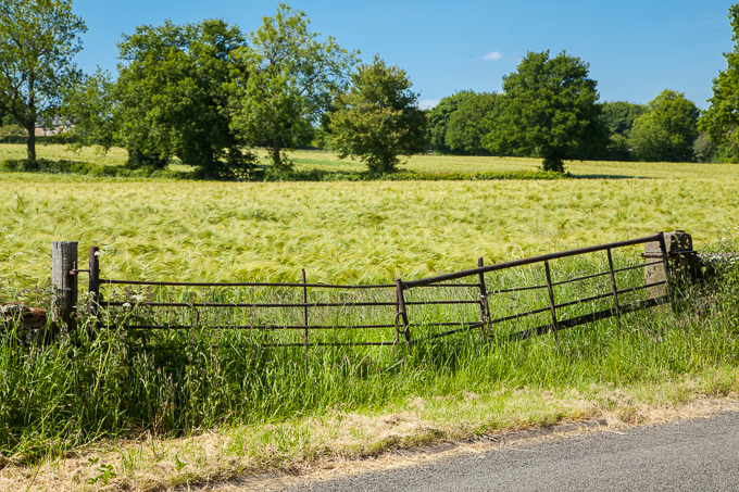 Gates (13)